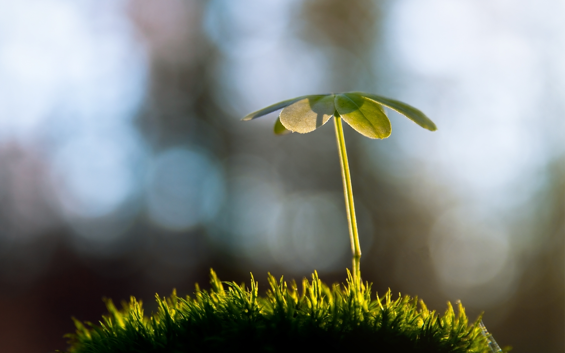 Mooi! Je hebt me gevonden